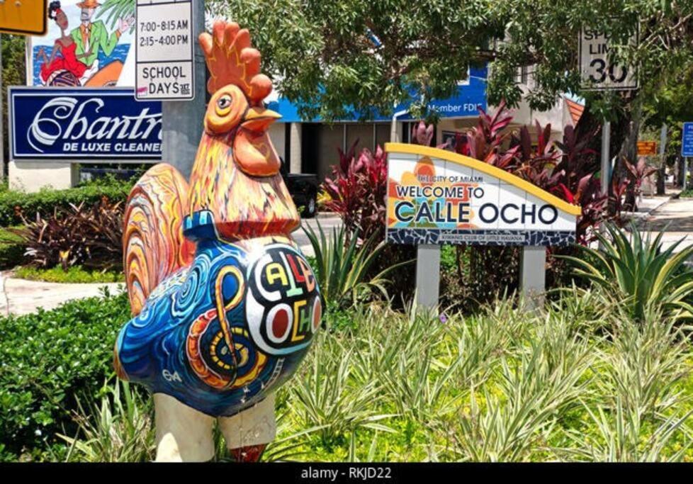 Intimate Casita Mia Minutes Away From Airport, Calle 8, Brickell, Coral Gables, The Beach And More! Маямі Екстер'єр фото